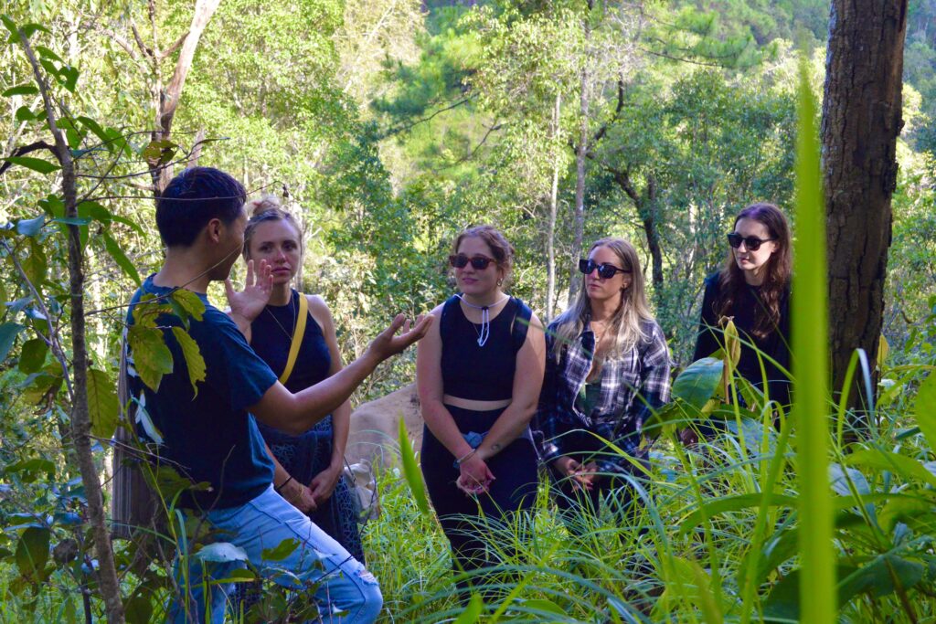 One Day Elephant Tour