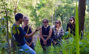 One Day Elephant Tour