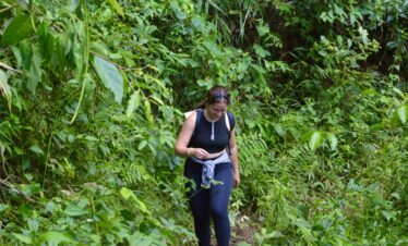 One Day Elephant Tour