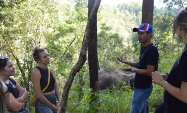 One Day Elephant Tour
