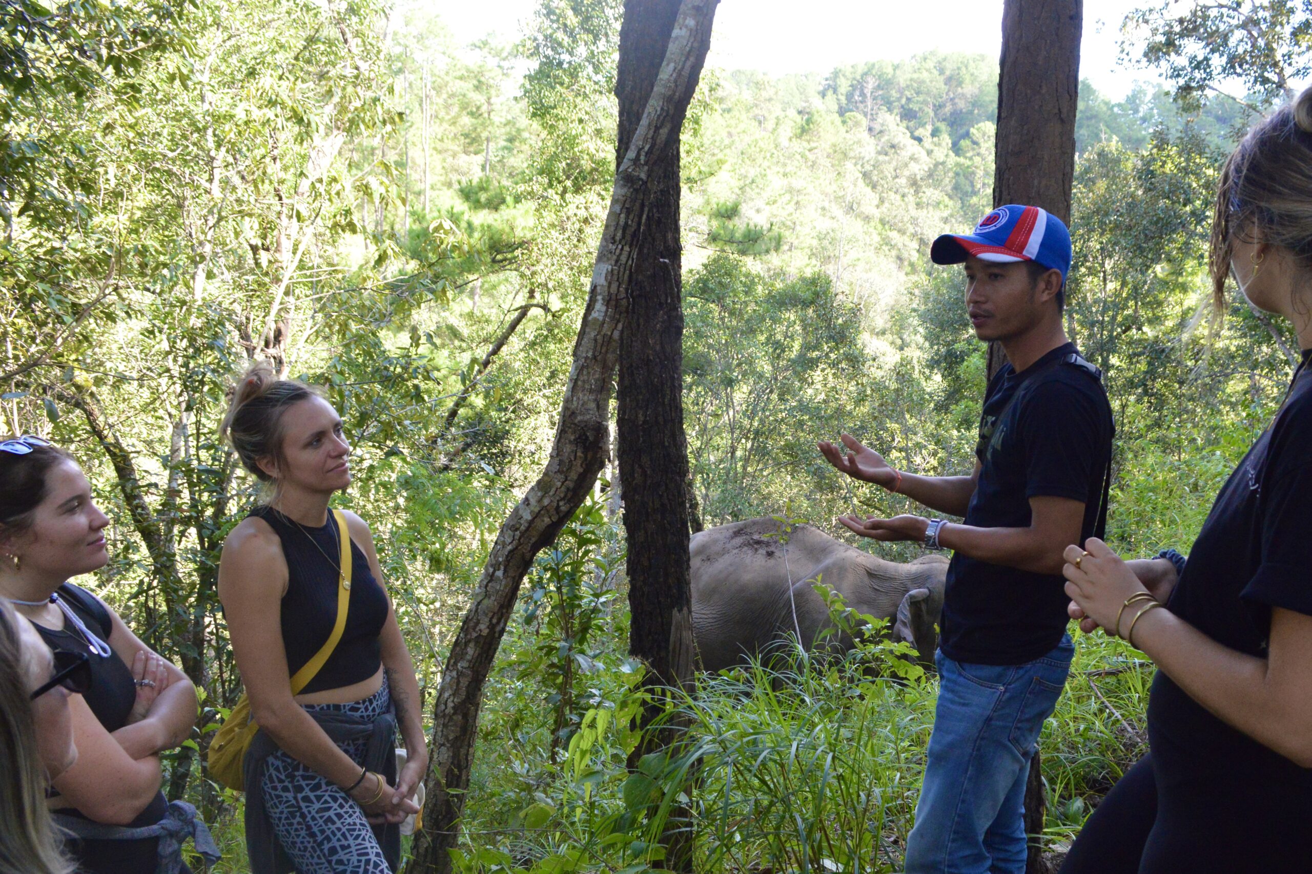 One Day Elephant Tour