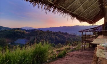 One Day Elephant Tour